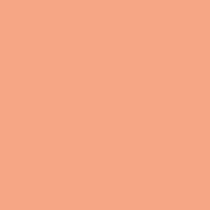 Tissu Uni Art Gallery Fabrics_Pure Solids Apricot Crepe