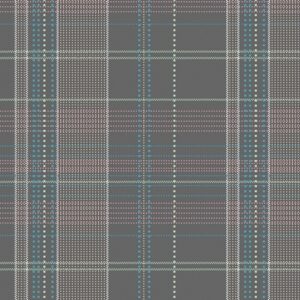 Art Galery fabrics CAP-P-1004-Secret-Ways-Plaid