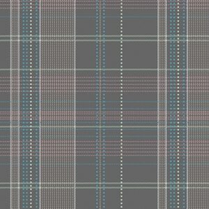 Art Galery fabrics CAP-P-1004-Secret-Ways-Plaid