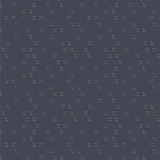 Twinkle Twinkle Galaxy