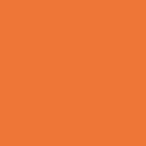 Tissu Uni Art Gallery Fabrics_Pure Solids Burnt Orange