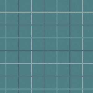AGF Art Gallery Fabrics - Snow Day - Wintry Check Soft