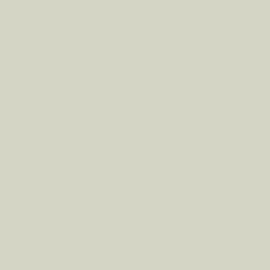 Tissu Uni Art Gallery Fabrics_Pure Solids Light Grey