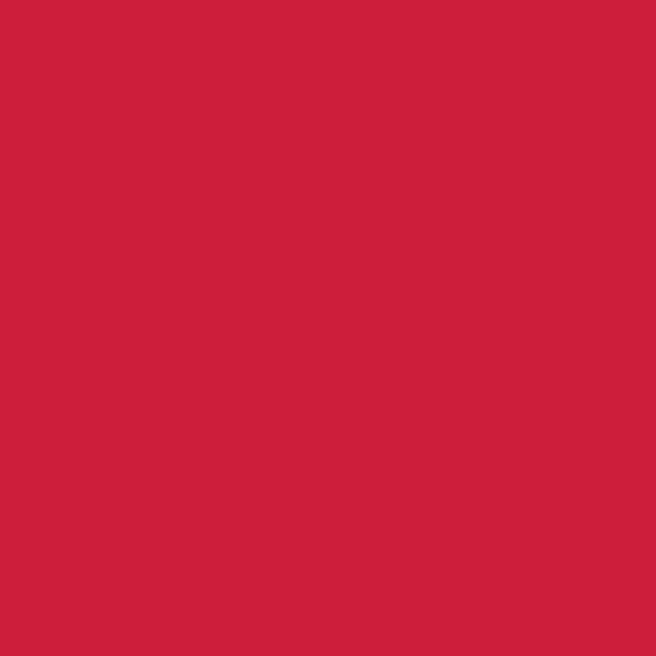Tissu Uni Art Gallery Fabrics Pure Solids Undeniably Red