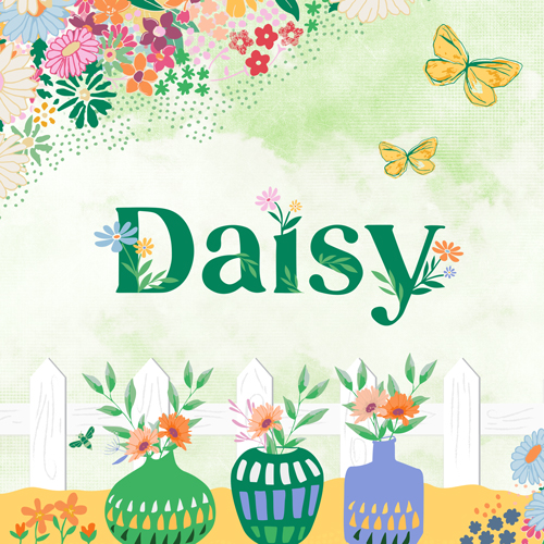 Collection Daisy