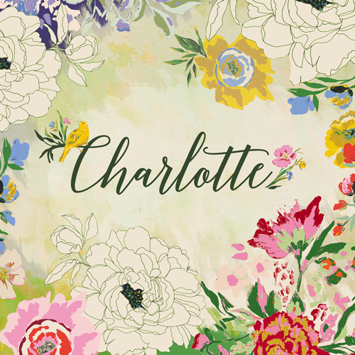 collection AGF charlotte