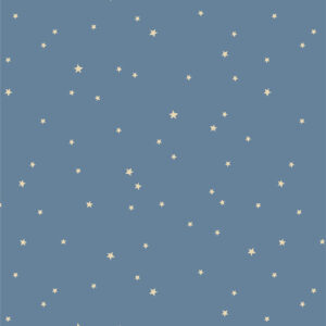 Art Gallery Fabrics - Coyote Hill - Starry Whispers Mist
